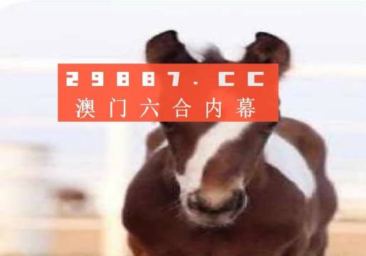 澳门一肖一码100%准确搜视网,协作解答解释落实_可选版36.62.60