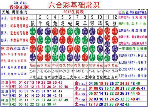 澳门正版资料大全资料生肖卡,集中解答解释落实_复合版95.49.12