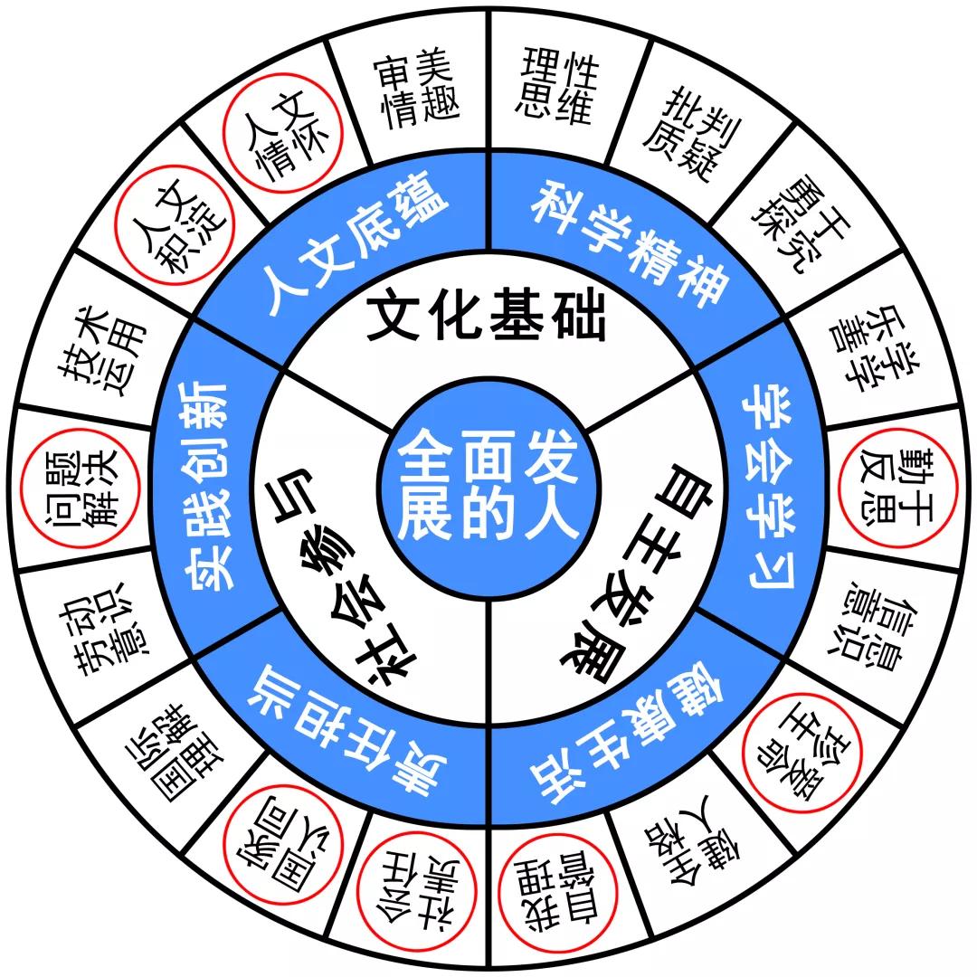 新奥门特免费资料大全火凤凰,循环解答解释落实_钱包版26.92.43