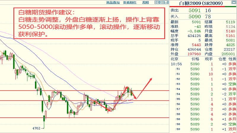 2024今晚香港开特马开什么,细微解答解释落实_实现版49.14.28