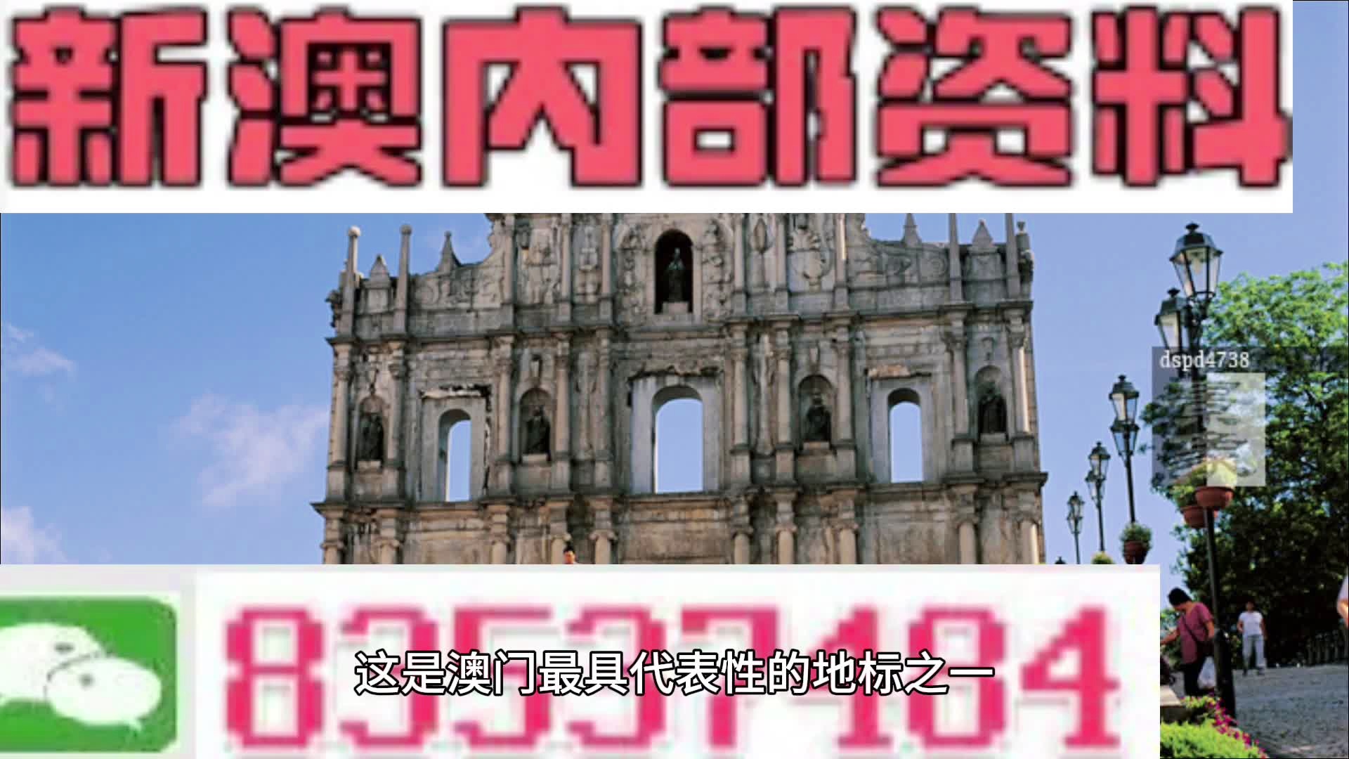 2024新澳精准资料免费提供下载,权能解答解释落实_免费版14.22.91